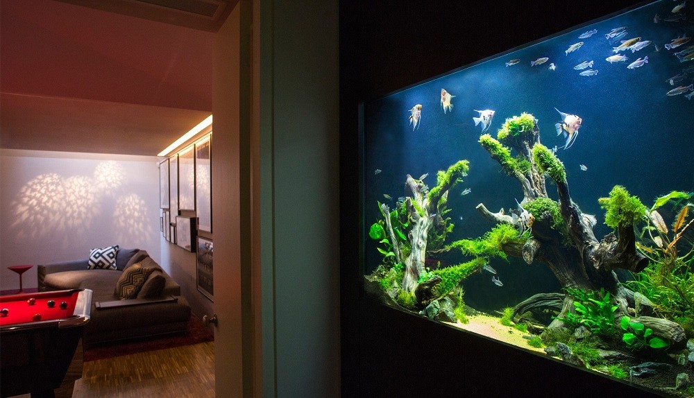 Аквариум в интерьере,фото