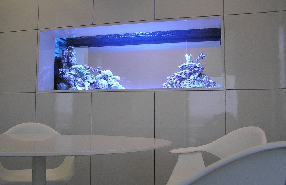 Аквариум в интерьере,фото