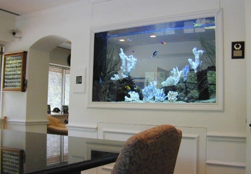 Фото аквариума в интерьере