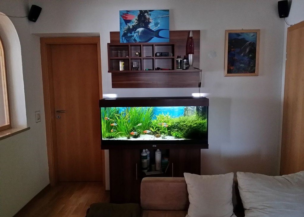 Фото аквариума в интерьере