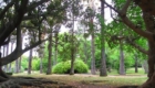 Jardim Botanico Tropical, фото