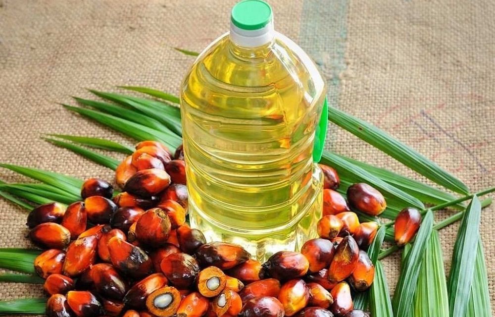 Пальмовое масло в бутылке и плоды пальмового дерева