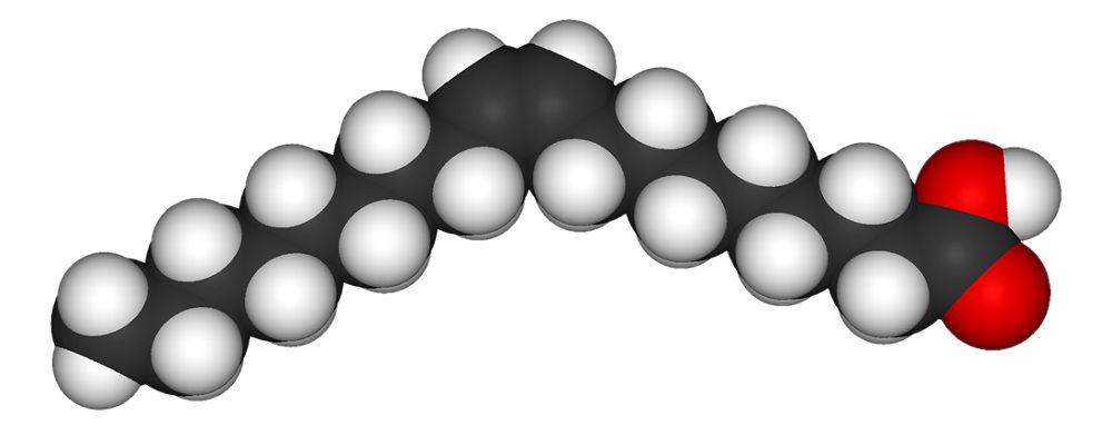 Молекула олеиновой кислоты