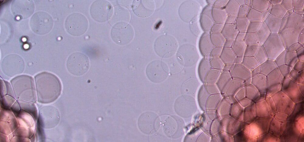 Микрочастицы альгината натрия
