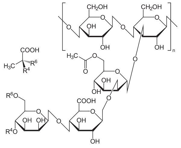 Структурная формула молекулы ксантановой камеди