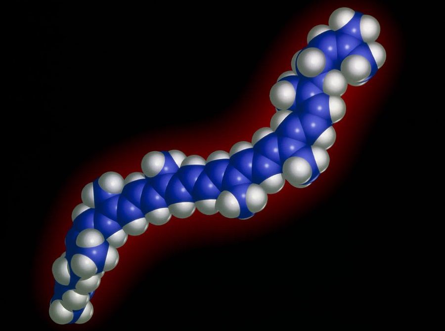 Молекула ликопина