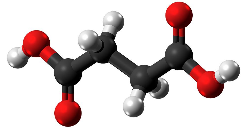 Молекула янтарной кислоты