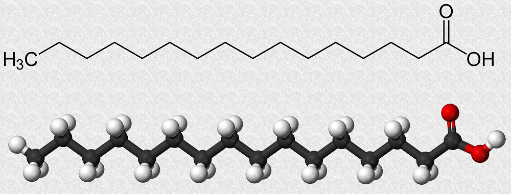 Структурная формула молекулы пальмитиновой кислоты