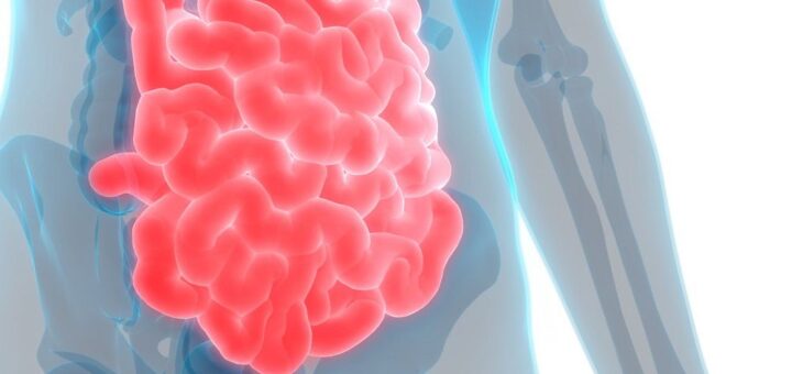 Как восстановить микрофлору кишечника?
