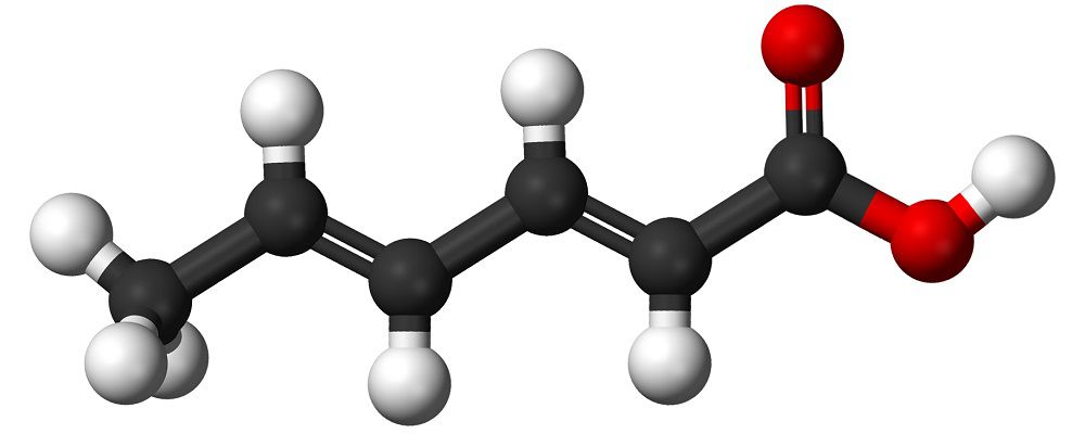 Молекула сорбиновой кислоты