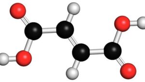 Молекула фумаровой кислоты